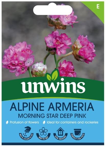 ALPINE ARMERIA MORNING STAR FLOWER