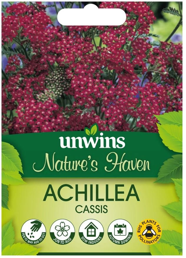 Nature's Haven Achillea Cassis Seeds